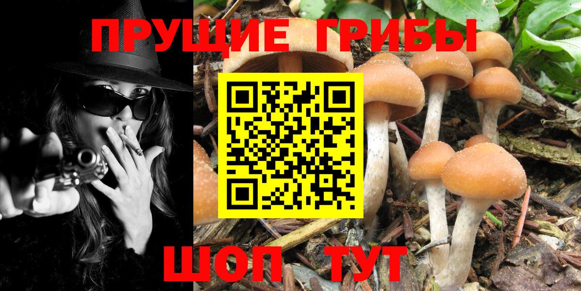 Псилоцибиновые грибы ЛСД Тулун
