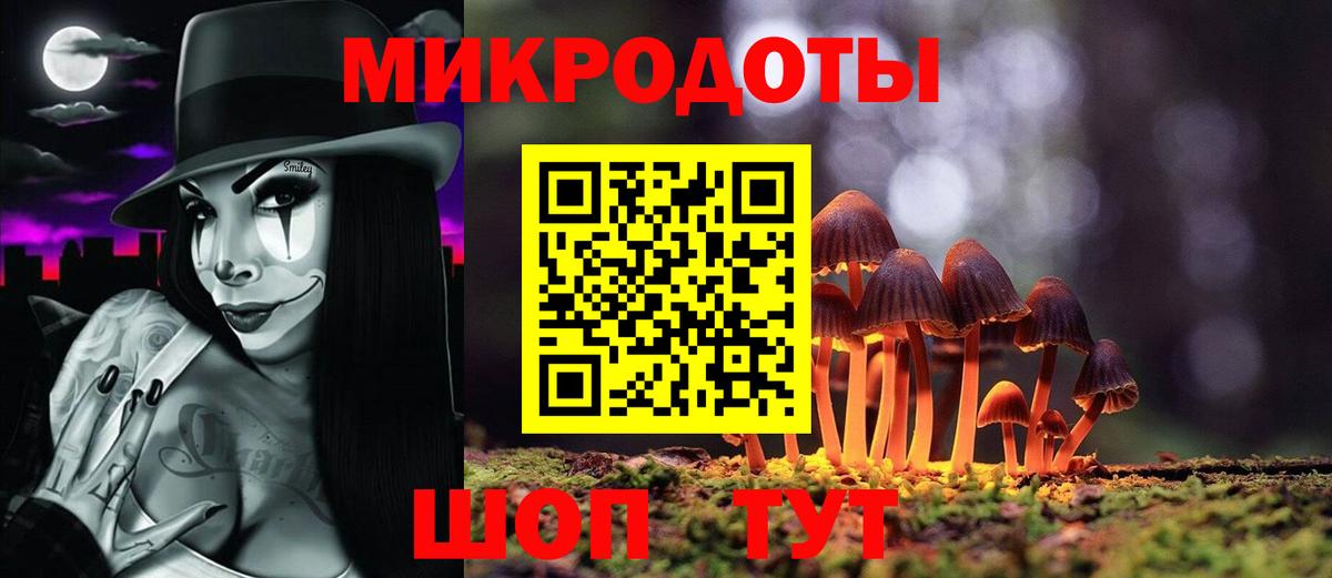 Тулун  Псилоцибиновые грибы мицелий  Вход с VPN 